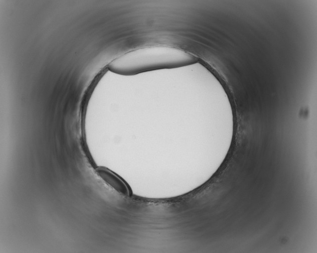 X0000112051080200909150957