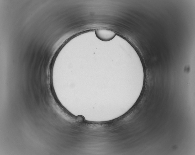 X0000112051082200909150957