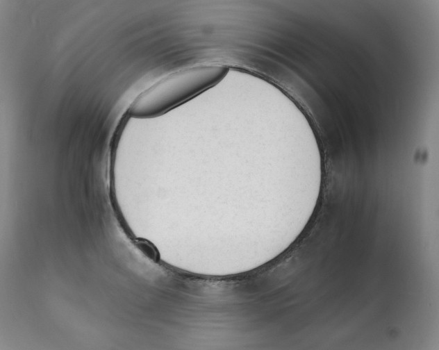 X0000112051084200909150957