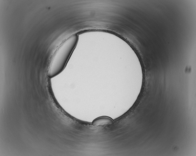 X0000112051085200909150957