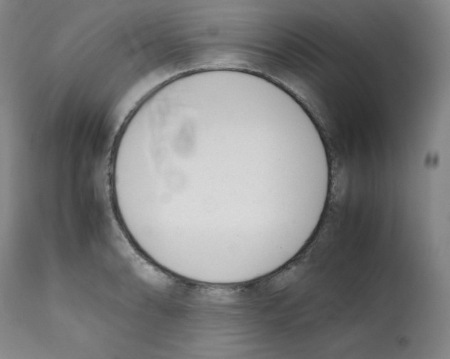 X0000112051086200909150957