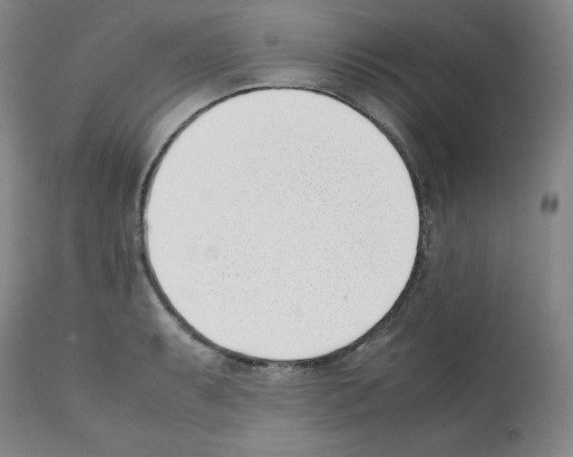 X0000112051087200909150957