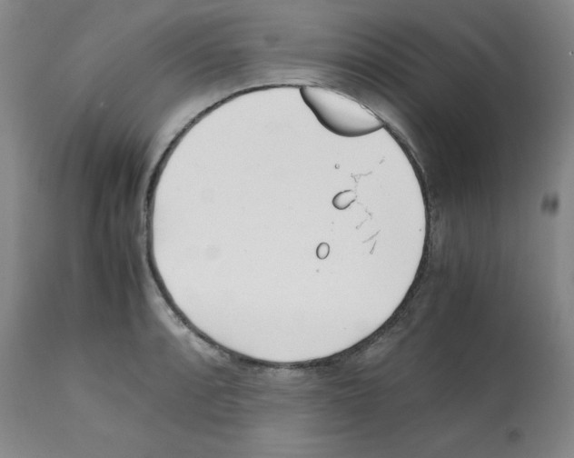 X0000112051088200909150957