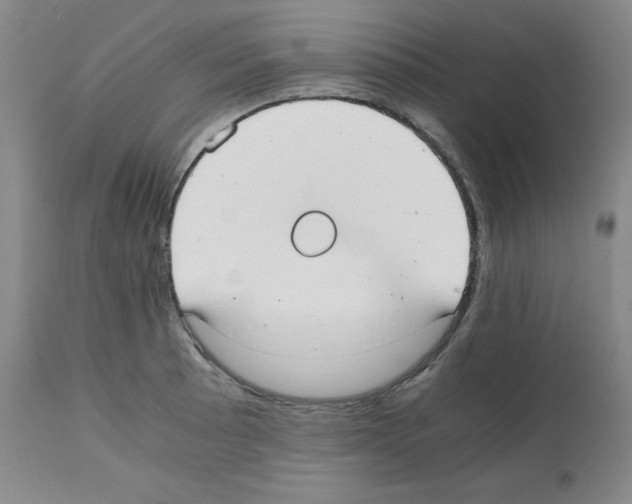 X0000112051089200909150957