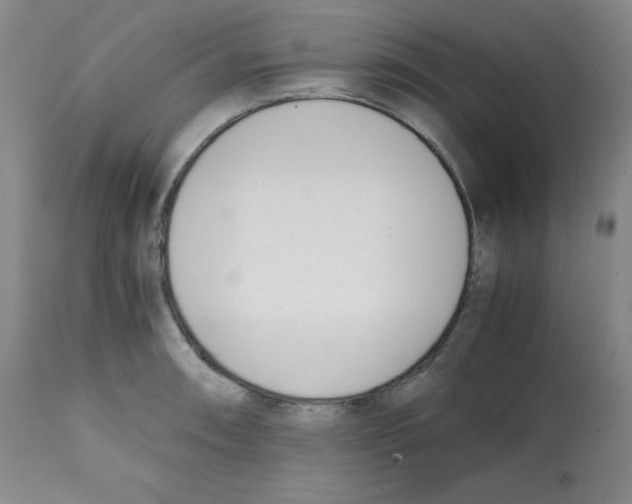 X0000112051090200909150957