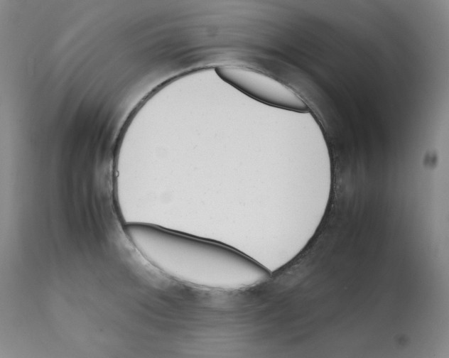 X0000112051092200909150957