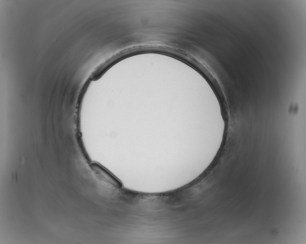 X0000112051093200909150957