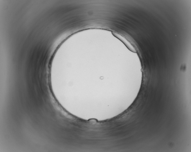 X0000112051096200909150957
