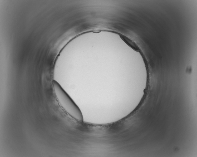 X0000112051097200909150957