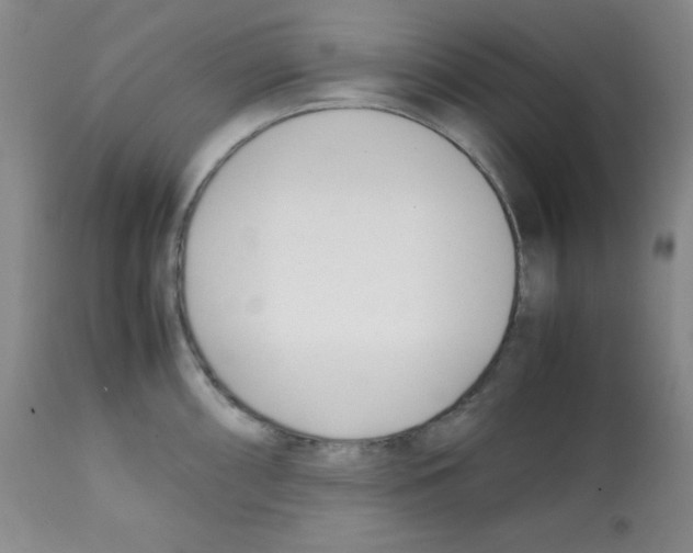 X0000112051098200909150957
