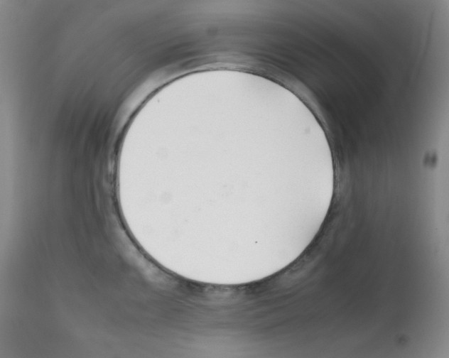 X0000112051099200909150957