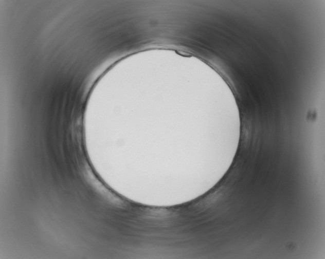 X0000112051100200909150957
