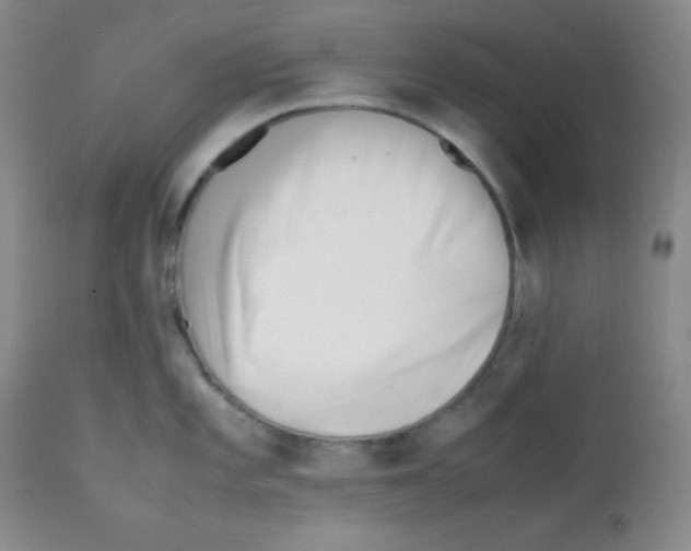 X0000112051101200909150957