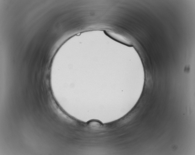 X0000112051102200909150957