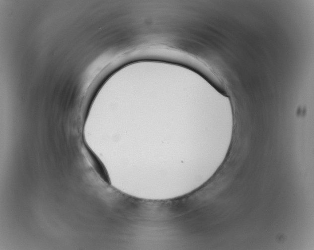 X0000112051104200909150957