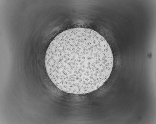 X0000112051105200909150956