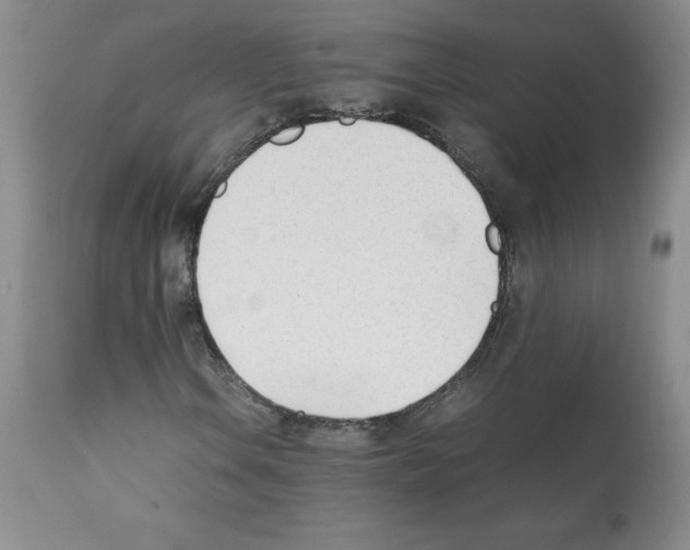 X0000112051106200909150956