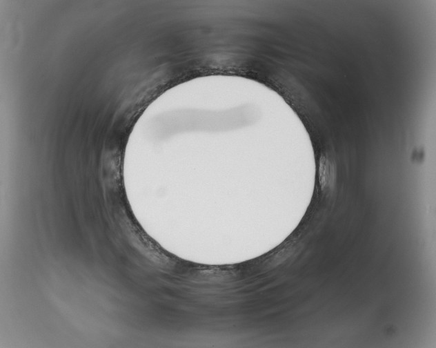 X0000112051107200909150956