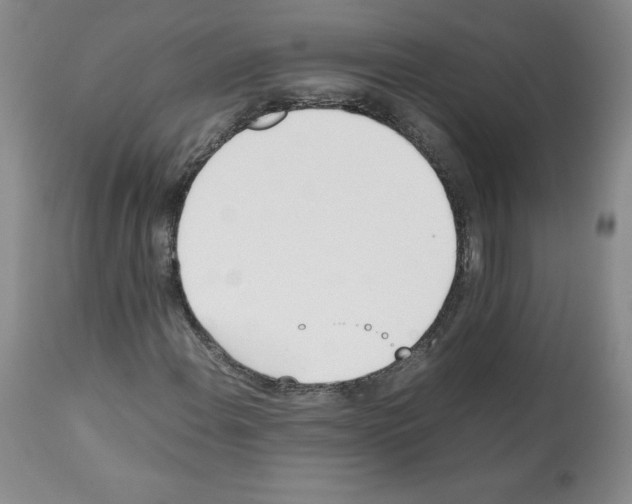 X0000112051108200909150956