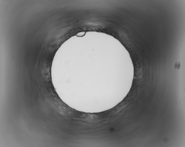 X0000112051109200909150956