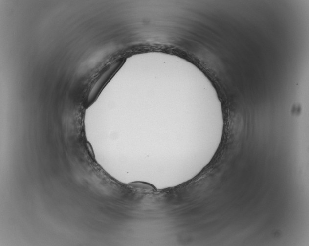 X0000112051110200909150956