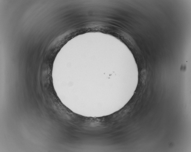 X0000112051111200909150956