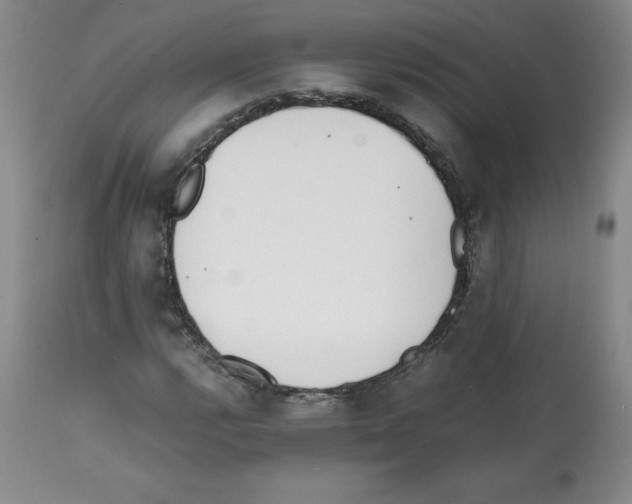 X0000112051112200909150956