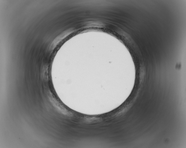 X0000112051113200909150956