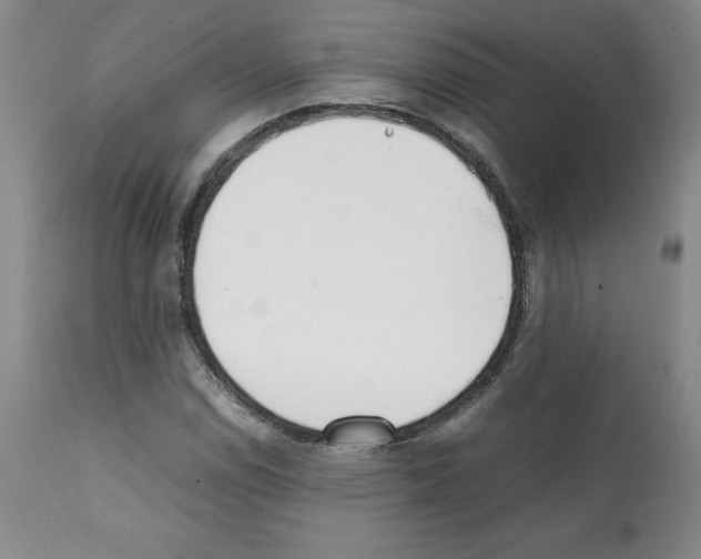 X0000112051114200909150956