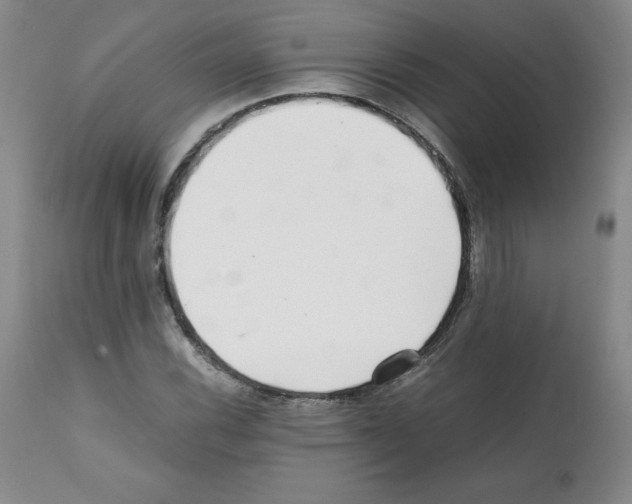 X0000112051116200909150956