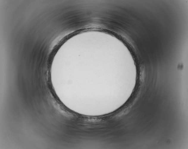 X0000112051117200909150956