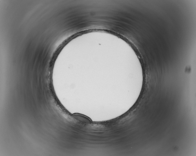 X0000112051119200909150956