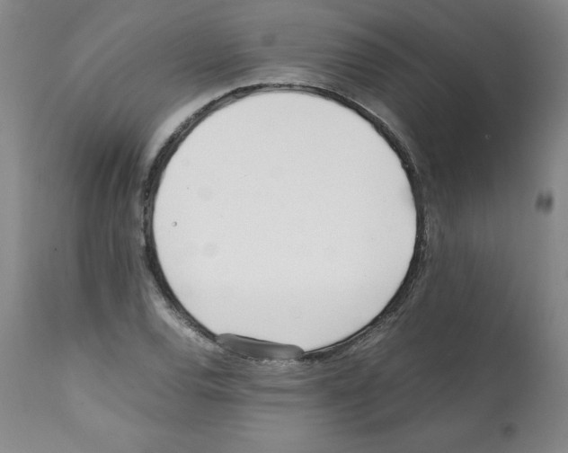 X0000112051120200909150956