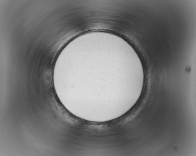 X0000112051121200909150956