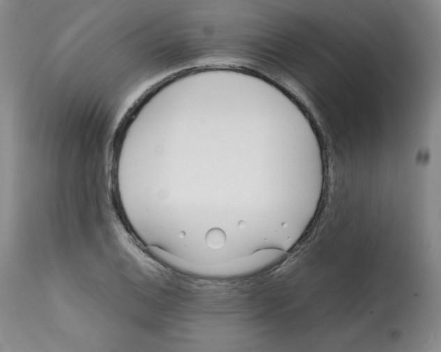 X0000112051124200909150956