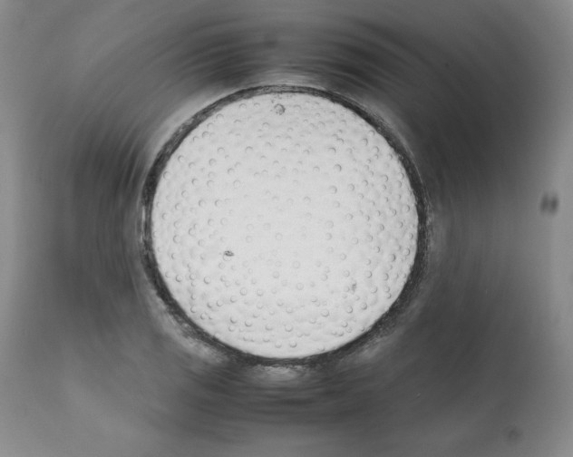 X0000112051125200909150956