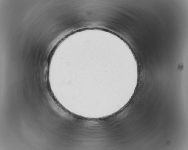 X0000112051126200909150956