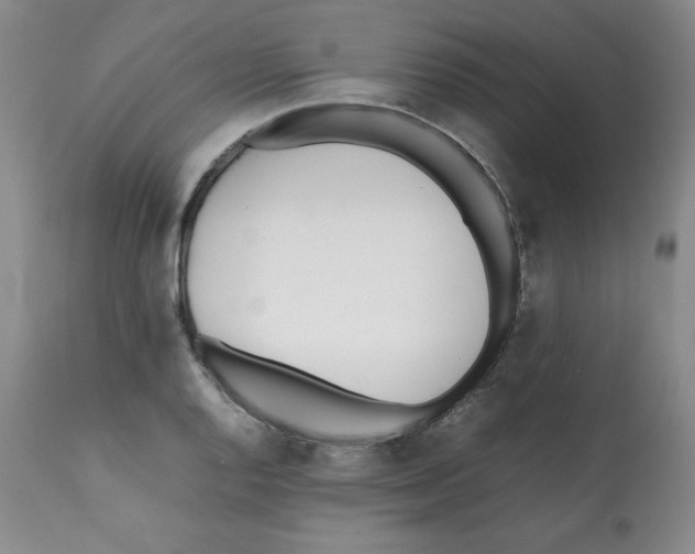 X0000112051128200909150956