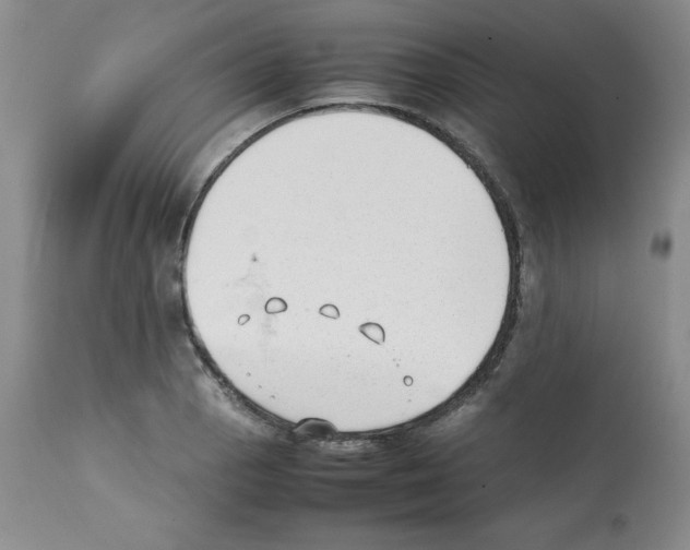 X0000112051129200909150956