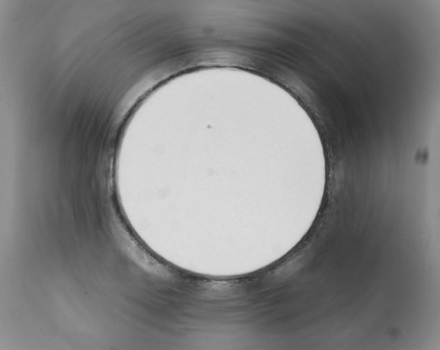 X0000112051130200909150956