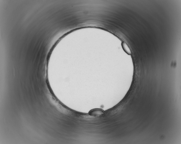 X0000112051132200909150956