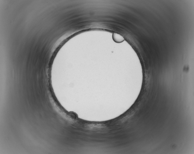 X0000112051133200909150956
