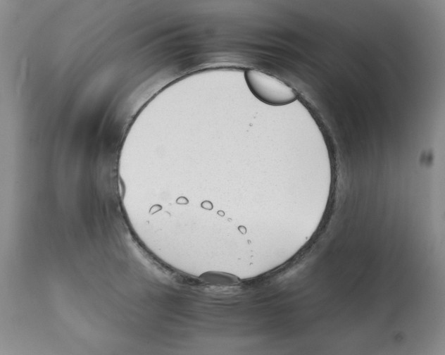 X0000112051137200909150956