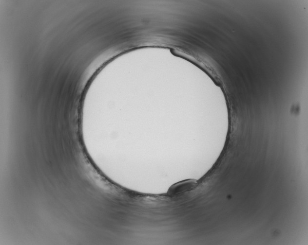 X0000112051138200909150956