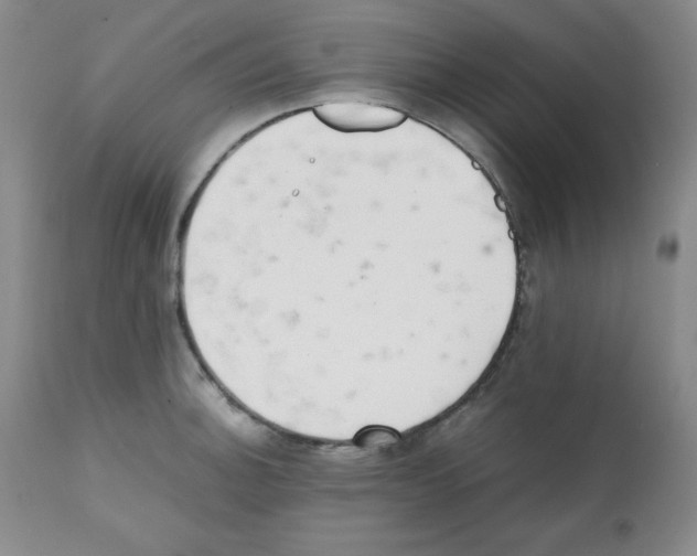 X0000112051140200909150957