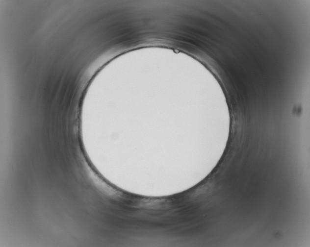 X0000112051143200909150957
