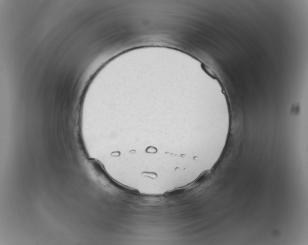 X0000112051144200909150957