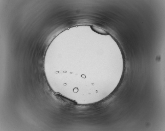 X0000112051145200909150957