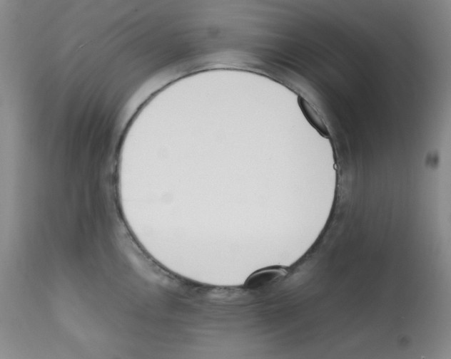 X0000112051146200909150957