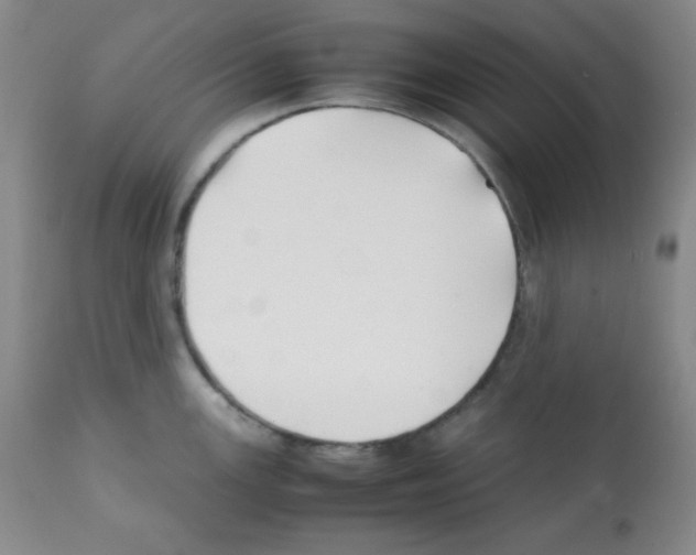 X0000112051147200909150957